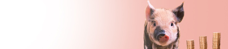 Maîtriser son budget