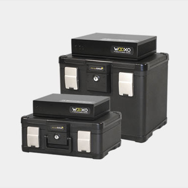 Sauvegarde et restauration des données informatiques professionnelles